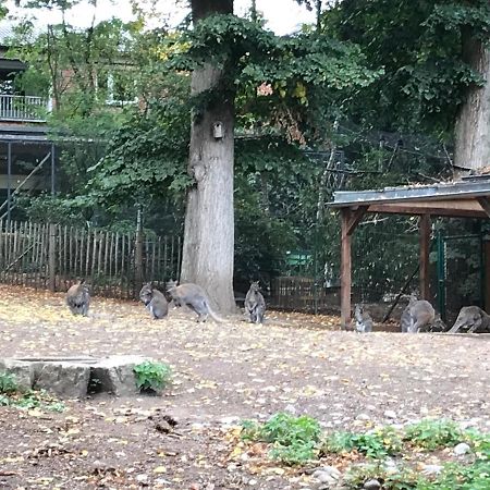 Ferienhaus Am Park Am Roehrensee バイロイト エクステリア 写真