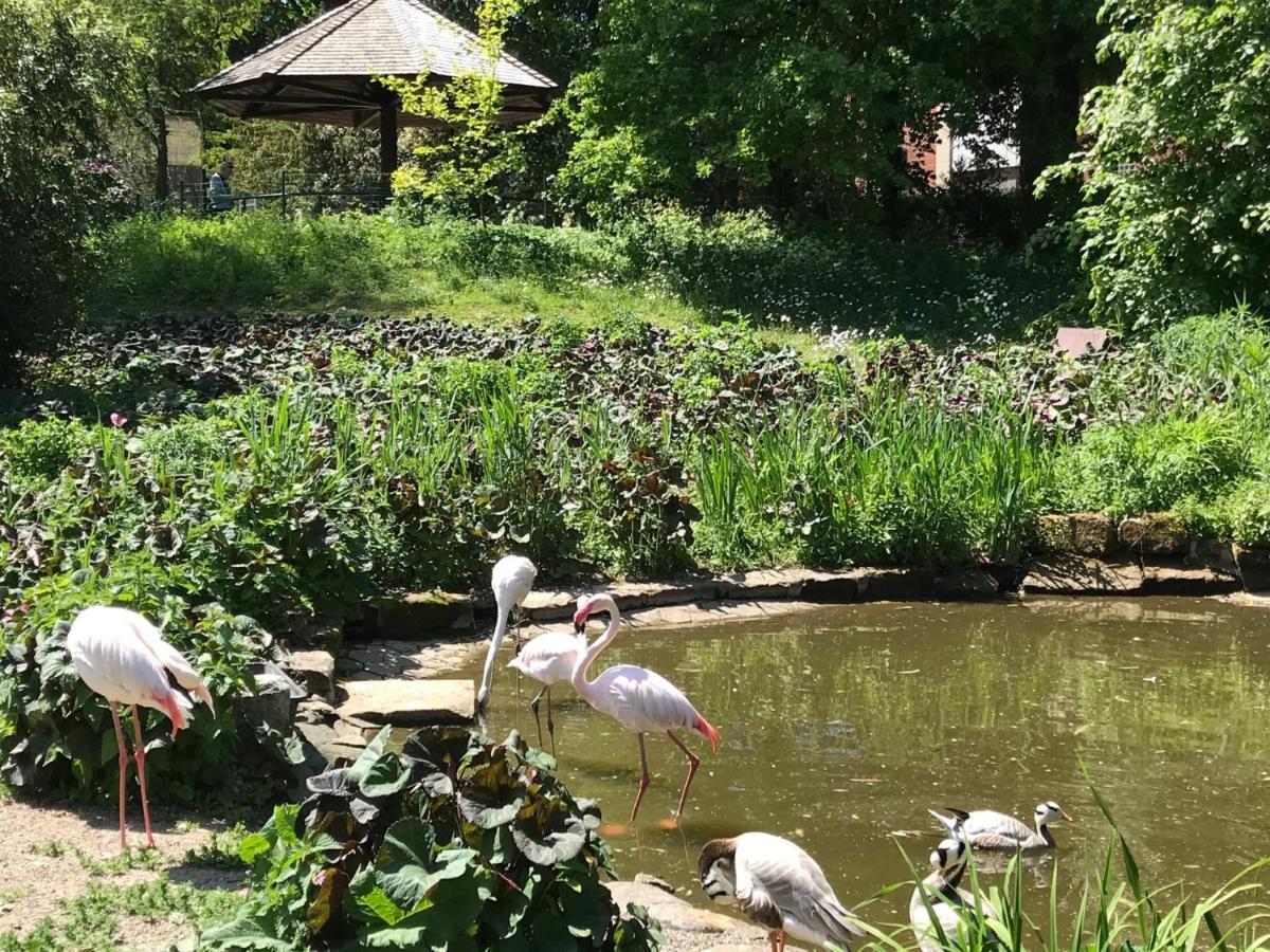 Ferienhaus Am Park Am Roehrensee バイロイト エクステリア 写真