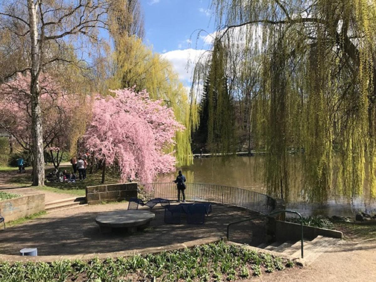 Ferienhaus Am Park Am Roehrensee バイロイト エクステリア 写真