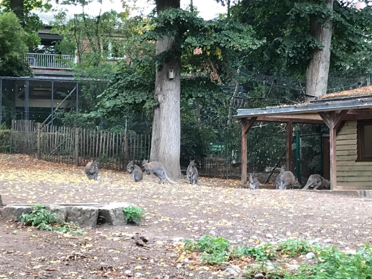 Ferienhaus Am Park Am Roehrensee バイロイト エクステリア 写真
